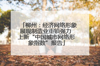 柳州：经济网络形象展现制造业重镇强力 上新“中国城市网络形象指数”报告