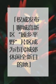 权威发布｜聊城高新区“顾乡平野”片区成为市民城郊休闲全新目的地