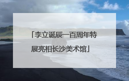 李立诞辰一百周年特展亮相长沙美术馆