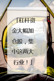 杠杆资金大幅加仓股，集中这两大行业！
