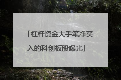 杠杆资金大手笔净买入的科创板股曝光