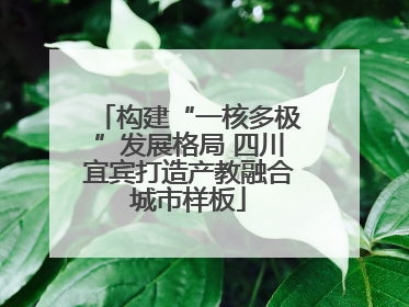 构建“一核多极”发展格局 四川宜宾打造产教融合城市样板