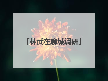 林武在聊城调研