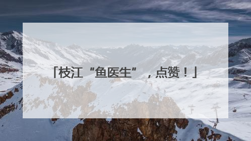 枝江“鱼医生”，点赞！