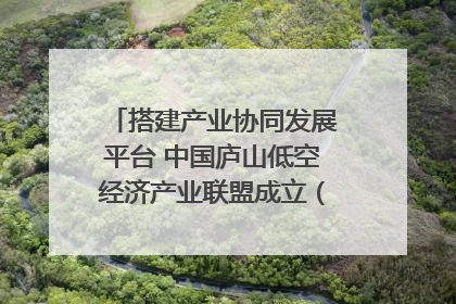 搭建产业协同发展平台 中国庐山低空经济产业联盟成立（组图｜视频）