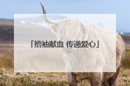 撸袖献血 传递爱心