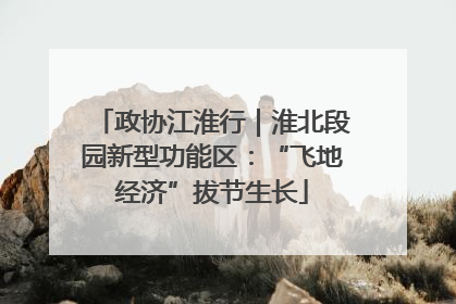 政协江淮行｜淮北段园新型功能区：“飞地经济”拔节生长