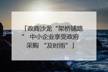 政商沙龙“架桥铺路” 中小企业享受政府采购 “及时雨”
