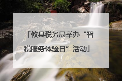 攸县税务局举办“智税服务体验日”活动