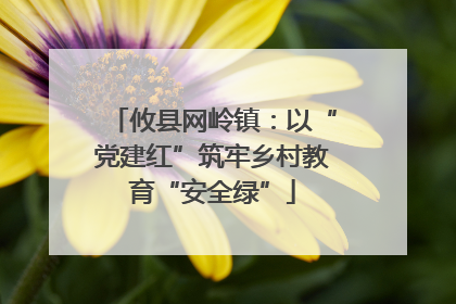 攸县网岭镇：以“党建红”筑牢乡村教育“安全绿”