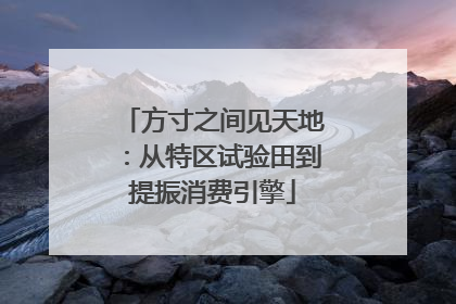 方寸之间见天地：从特区试验田到提振消费引擎