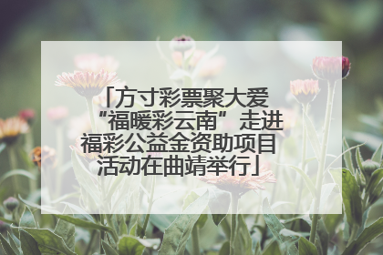 方寸彩票聚大爱 “福暖彩云南”走进福彩公益金资助项目活动在曲靖举行