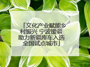 文化产业赋能乡村振兴 宁波援疆助力新疆库车入选全国试点城市