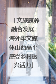 文旅康养融合发展 海外华文媒体山西高平感受乡村振兴活力
