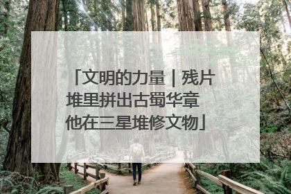 文明的力量｜残片堆里拼出古蜀华章 他在三星堆修文物