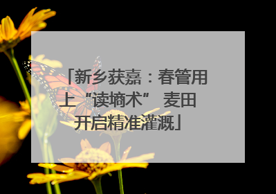 新乡获嘉：春管用上“读墒术” 麦田开启精准灌溉