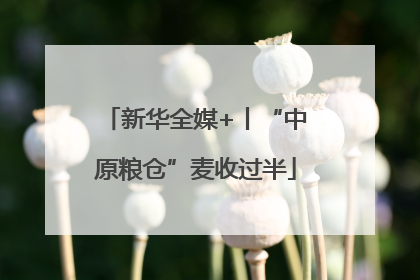 新华全媒+丨“中原粮仓”麦收过半