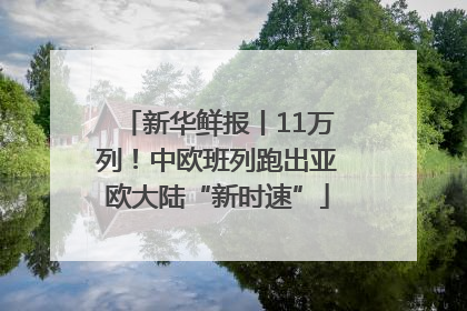 新华鲜报丨11万列！中欧班列跑出亚欧大陆“新时速”