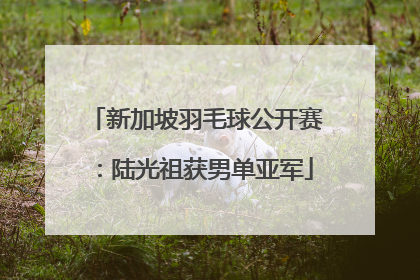 新加坡羽毛球公开赛：陆光祖获男单亚军