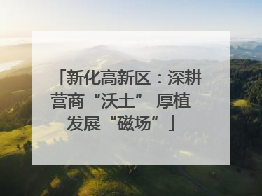 新化高新区：深耕营商“沃土” 厚植发展“磁场”