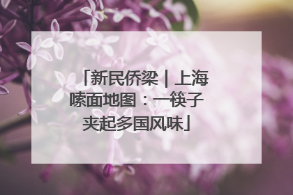 新民侨梁｜上海嗦面地图：一筷子夹起多国风味