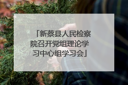 新蔡县人民检察院召开党组理论学习中心组学习会