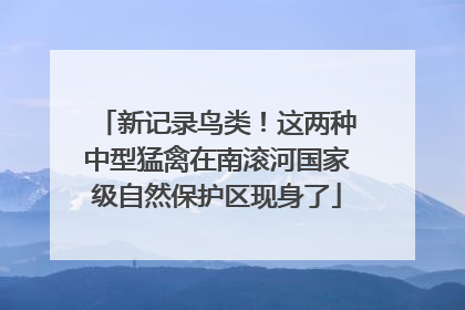 新记录鸟类！这两种中型猛禽在南滚河国家级自然保护区现身了