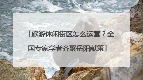 旅游休闲街区怎么运营？全国专家学者齐聚岳阳献策