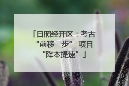 日照经开区：考古“前移一步” 项目“降本提速”
