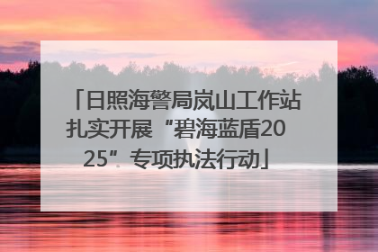 日照海警局岚山工作站扎实开展“碧海蓝盾2025”专项执法行动