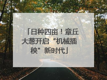 日种四亩！章丘大葱开启“机械插秧”新时代