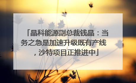 晶科能源副总裁钱晶:当务之急是加速升级既有产线,沙特项目正推进中