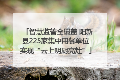 智慧监管全覆盖 阳新县225家集中用餐单位实现“云上明厨亮灶”