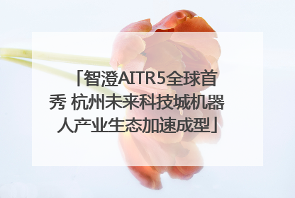 智澄AITR5全球首秀 杭州未来科技城机器人产业生态加速成型