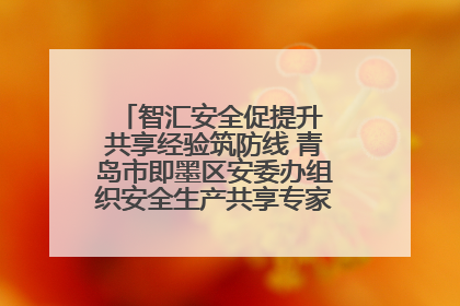 智汇安全促提升 共享经验筑防线 青岛市即墨区安委办组织安全生产共享专家现场观摩学习活动