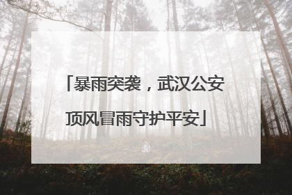 暴雨突袭，武汉公安顶风冒雨守护平安