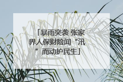 暴雨突袭 张家界人保财险闻“汛”而动护民生