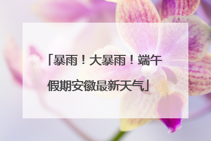 暴雨！大暴雨！端午假期安徽最新天气