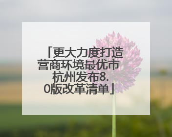 更大力度打造营商环境最优市 杭州发布8.0版改革清单