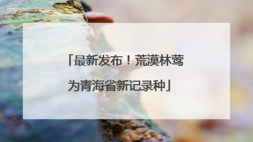 最新发布！荒漠林莺为青海省新记录种