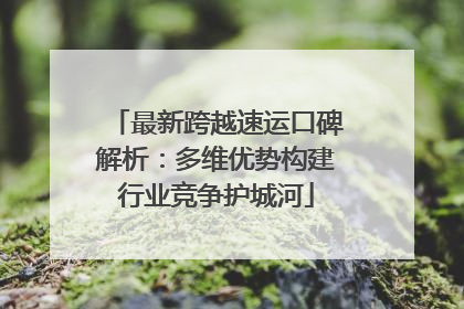 最新跨越速运口碑解析：多维优势构建行业竞争护城河