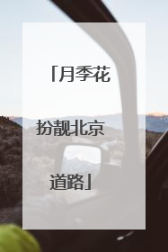 月季花扮靓北京道路