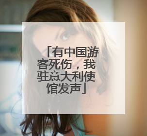 有中国游客死伤，我驻意大利使馆发声
