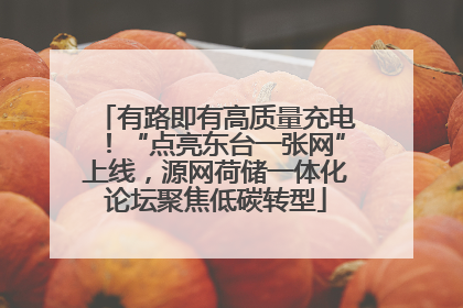有路即有高质量充电！“点亮东台一张网”上线，源网荷储一体化论坛聚焦低碳转型