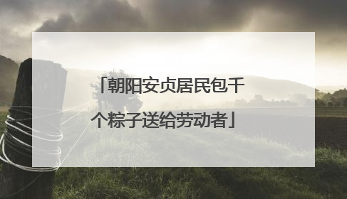 朝阳安贞居民包千个粽子送给劳动者
