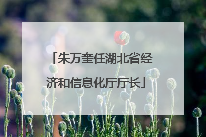 朱万奎任湖北省经济和信息化厅厅长