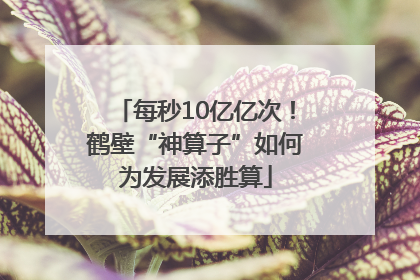 每秒10亿亿次！鹤壁“神算子”如何为发展添胜算