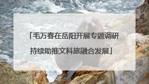 毛万春在岳阳开展专题调研 持续助推文科旅融合发展