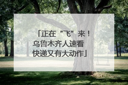 正在“飞”来！乌鲁木齐人速看 快递又有大动作