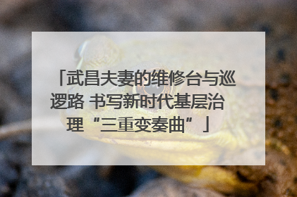 武昌夫妻的维修台与巡逻路 书写新时代基层治理“三重变奏曲”
